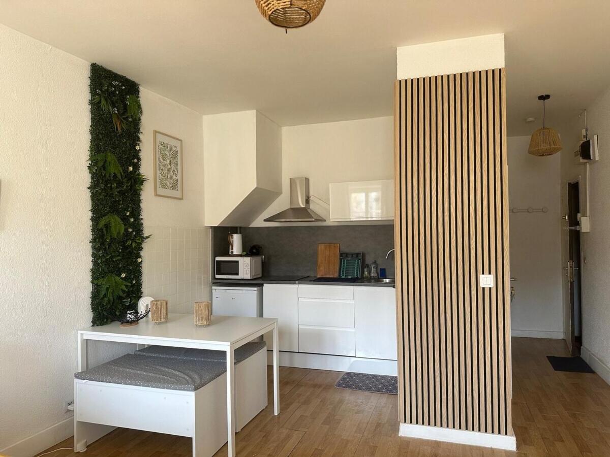 Appartement Cosy Au Coeur De La Ville D'Auch Esterno foto